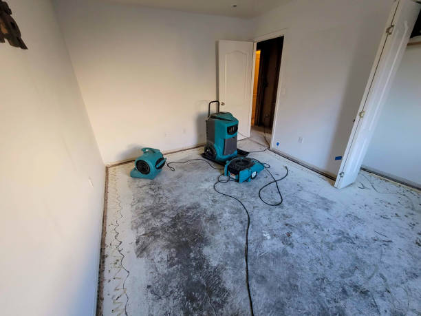 Best Water damage restoration mold remediation  in Westhampton Beach, NY