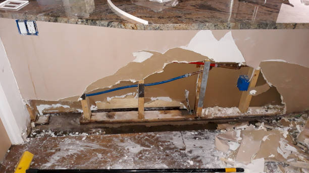 Best 24-hour water damage restoration  in Westhampton Beach, NY