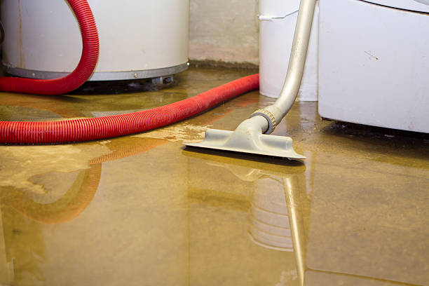 Best Local water damage restoration  in Westhampton Beach, NY