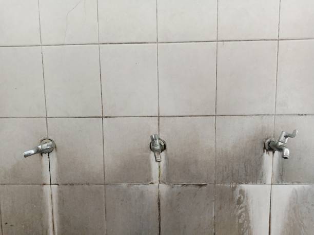Best Water damage restoration near me  in Westhampton Beach, NY