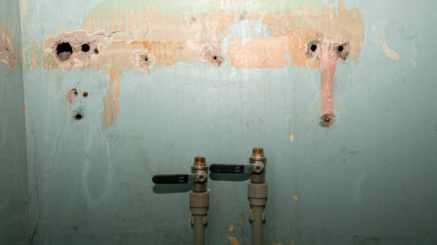 Best Ceiling water damage repair  in Westhampton Beach, NY