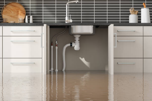 Best Basement water damage restoration  in Westhampton Beach, NY