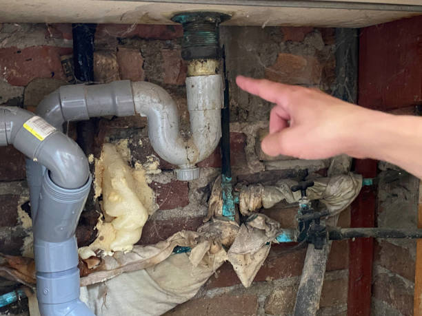 Best Carpet water damage restoration  in Westhampton Beach, NY