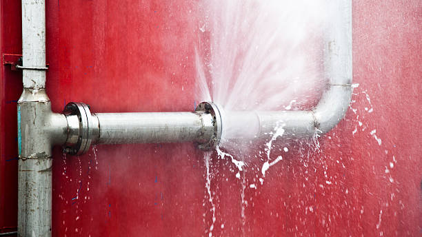 Best Flood damage cleanup  in Westhampton Beach, NY