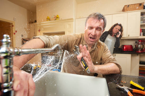 Best Mold removal after water damage  in Westhampton Beach, NY